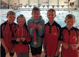 Image result for Coventry Swimming Club