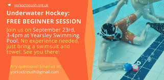 Image result for York Octopush Club