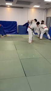 Image result for Alpha Judo Club