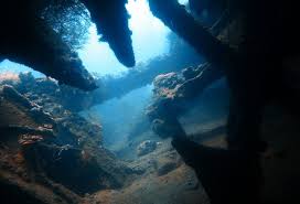 Image result for Abyss Dive Club