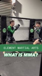 Image result for Full Element Mixed Martial Arts