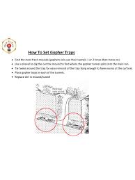 Image result for gepetto tehron