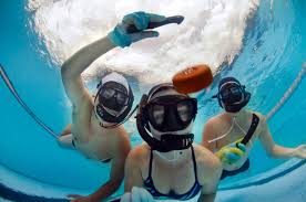Image result for Underwater Hockey Ireland