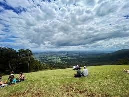 「Mt. Tamborine」的圖片搜尋結果
