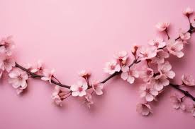 Image result for FOTO ROSA