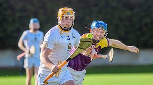 Image result for Sean Treacy`s Hurling Club