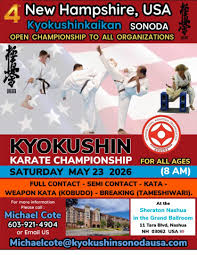 Image result for Kyokushin Karate