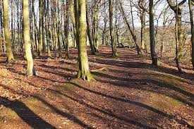 Image result for St Giles Yarners R&PC