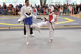 Image result for Turners Tae Kwon Do