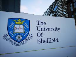 Image result for Sheffield University