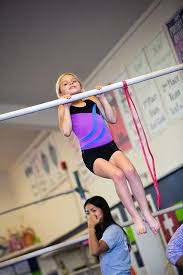 Image result for Cambrian Centre for Activity