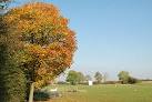 Road has a cricket pitch and two floodlit courts for tennis and netball. - via Daymix