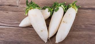 Image result for Rettich