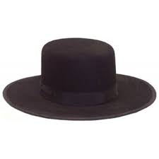 Image result for amish dress