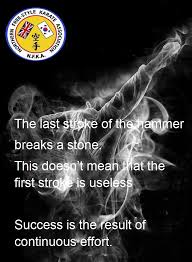 Image result for Northern Freestyle Karate Association