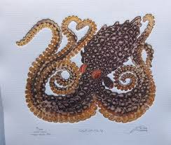 Attēlu rezultāti vaicājumam “Polypogon tentacularius male”