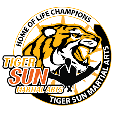 Image result for Championship Martial Arts Frisco