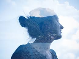 Image result for seotonie