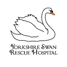 Image result for South Yorkshire Swans