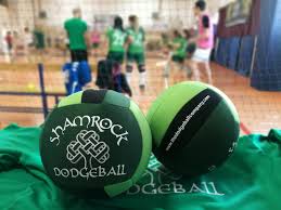Image result for The Dodgeball Company