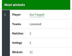 Image result for Alfold Stoolball Club