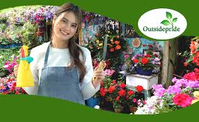 Attēlu rezultāti vaicājumam “Geranium bohemicum fruit”