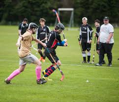 Image result for World of Shinty