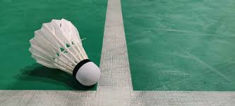 Image result for Shuttlecocks Badminton Club