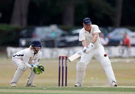 Image result for Bucklebury Cricket Club