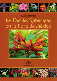 Attēlu rezultāti vaicājumam “Rubiaceae”
