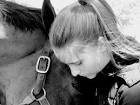 Hunter-Jumper-Lover on
