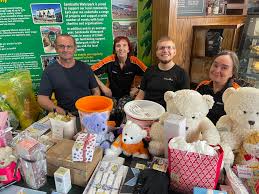 Image result for Blackpool Tiggers