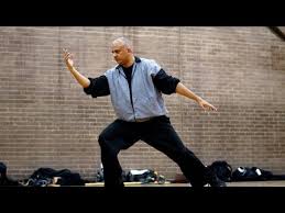 Image result for Shaolin Nam Pai Chuan Kung Fu - Manchester Martial Arts Centre