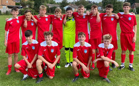 Image result for Walton & Hersham Football Club