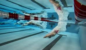 Image result for Portway Swimming Club