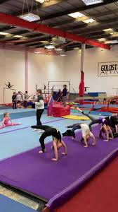 Image result for Goldstar Active