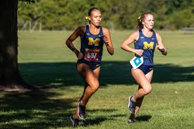 Image result for Windle Valley Runners