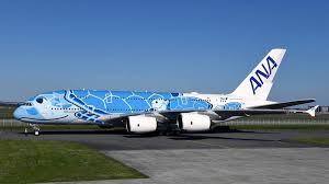 Image result for ana