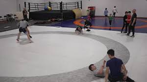 Image result for Erne Wrestling Club