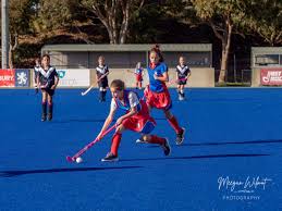 Image result for Canterbury Hockey Club