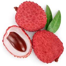 Image result for Litchi chinensis