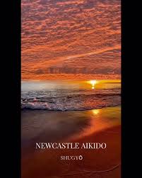 Image result for Newcastle Aikido Club