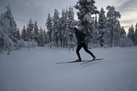 Image result for Scandinavian slope and cross country skiing