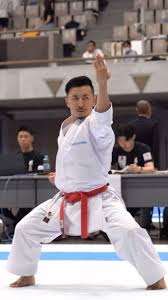 Image result for enpi dojo