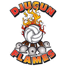 Image result for Flames Netball Club