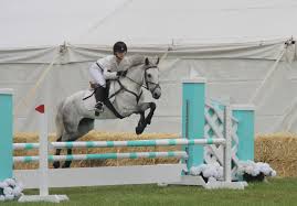 Image result for South Weylands Equestrian