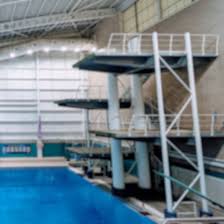 Image result for Leeds Free Divers Octopush Club