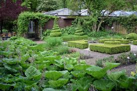 Image result for Priona Tuinen