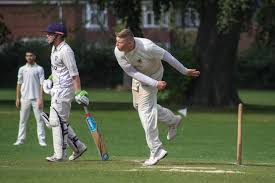 Image result for Hampole & Skelbrooke Cricket Club