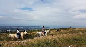 Image result for Beechwood Riding School